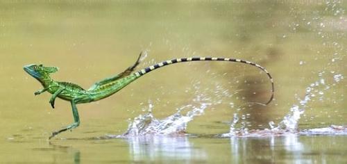 Смешные факты для детей. Интересные научные факты для детей