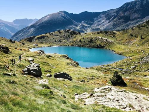 Самый быстрый интернет в мире. Вот 23 страны в мире, где широкополосный интернет самый быстрый