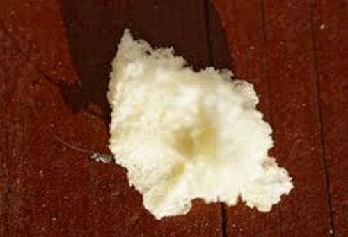 Какие типы снастей и приманок лучше использовать, если рыба не ловится. Насадки