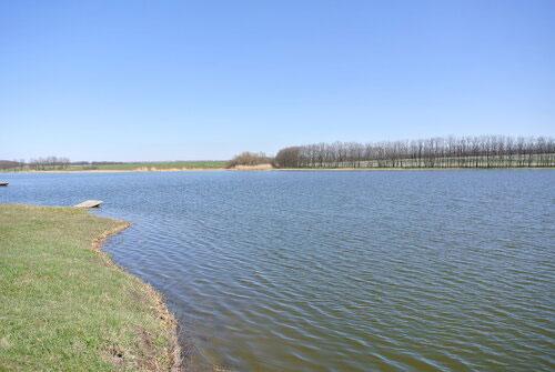 Какие особенности поведения рыбы могут повлиять на успех рыбалки и как с ними бороться. Вода