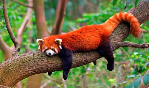 Путешествие по миру: Лучшие места планеты 2023 года 01 Путешествие по миру: Лучшие места планеты 2023 года 01