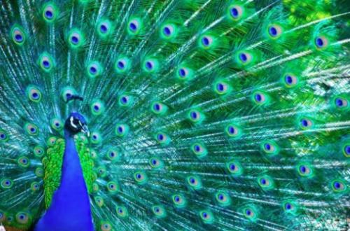 Невероятные факты в которые отказываешься верить. Факты, в которые очень сложно поверить