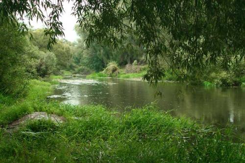 Какие факторы влияют на питание рыбы и почему они могут быть менее активными в июне. Где ловить рыбу в июне