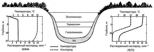 Почему рыба не клюет в июне: факторы, влияющие на рыболовный сезон 05