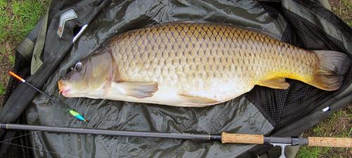 Почему рыба не клюет в июне: факторы, влияющие на рыболовный сезон 04