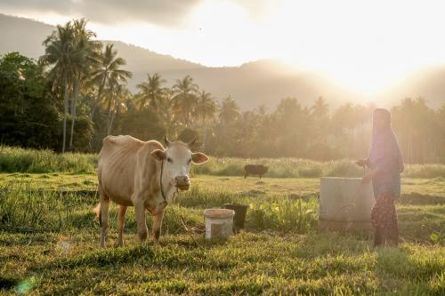 Самые опасные города Азии. Самые опасные места в Юго-Восточной Азии