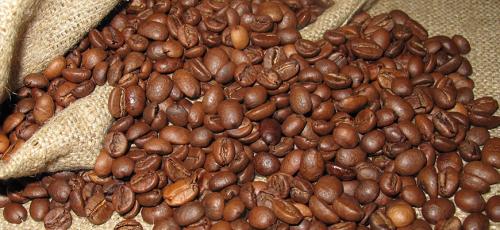 Лучшие сорта кофе названия. Какие существуют сорта кофе