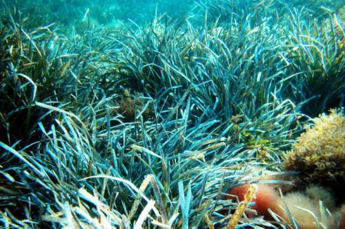 Что вы знаете о интересных фактах о нашей планете. Странные, очень странные факты о нашей планете, которые знает не каждый