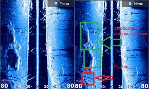 Как рыболовы определяют, какую рыбу они хотят поймать. Как искать рыбу на водоеме.  По косвенным признакам и для чего нужен самый простой эхолот.
