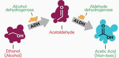 4. Неспособность справиться с жизненными проблемами без алкоголя