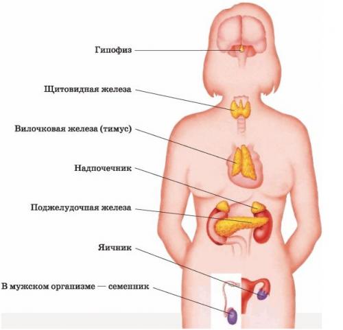 Изменения в организме при отказе от алкоголя. Как полностью отказаться от алкоголя 01 Изменения в организме при отказе от алкоголя. Как полностью отказаться от алкоголя 01