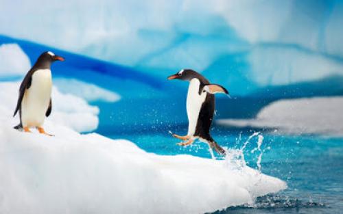 Загадки для подростко.  Загадки для детей 10-11 лет 04