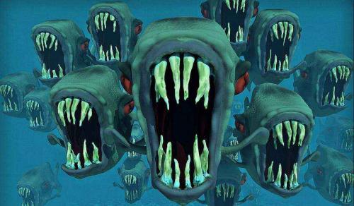 Самая сильная Рыба в мире. ТОП-16 смертоносных и ядовитых рыб на Земле