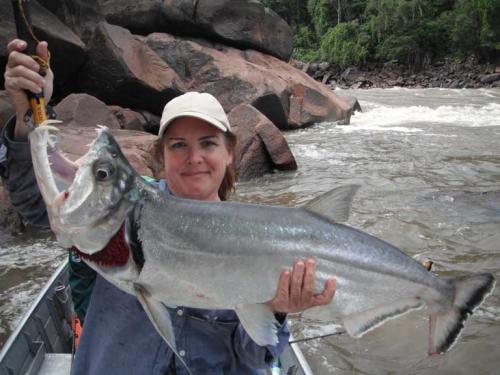 Какая самая опасная Рыба в мире. ТОП-10 самых опасных рыб в мире