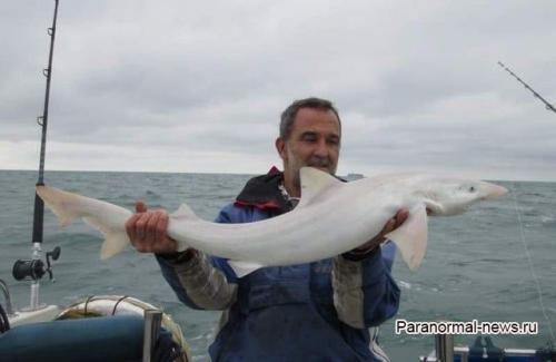 Топ-10 самых редких рыб 01 Топ-10 самых редких рыб 01