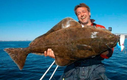 Рыбы мира. Морские рыбы