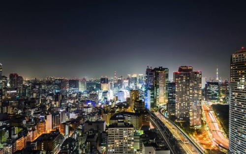 10 самых густонаселённых городов мира. ТОП-30 самых густонаселенных городов мира 18