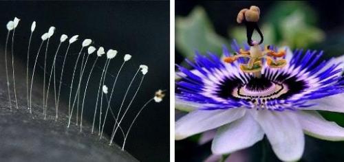 Самый быстрый проводной интернет в мире. Cамый быстрый интернет в мире (мобильный и на компьютере)?