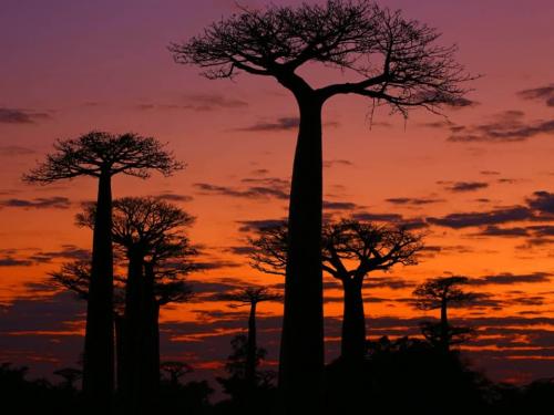 Самый быстрый интернет в мире 2022. Вот 23 страны в мире, где широкополосный интернет самый быстрый