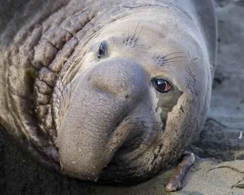 Какая самая большая волна была зарегистрирована в Тихом океане