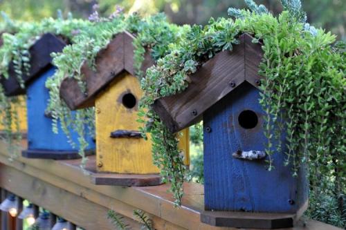 Украшения для улицы своими руками. 90 идей украшений для сада своими руками (фото)