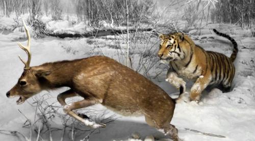 Украшения для дома на Новый 2022 год своими руками. Как украсить дом к Новому году Тигра 2022 своими руками — просто и красиво