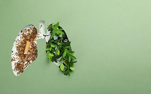 Снижение иммунитета после отказа от курения. Что происходит в организме при отказе от никотина