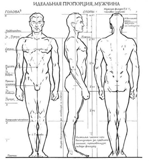 Идеальные пропорции женского тела 05