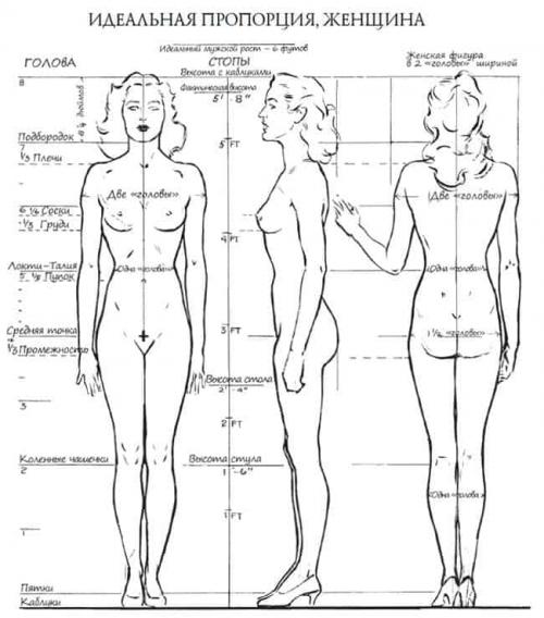 Идеальные пропорции женского тела 06
