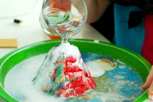 Какие научные опыты можно провести с животными