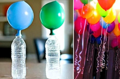 Какие научные опыты можно провести с животными