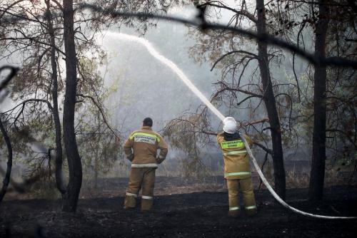 Какие страны могут выйти из топ-10 к 2025 году. Зимы без снега, нехватка воды и выгоревшие леса могут ждать Россию в ближайшем будущем