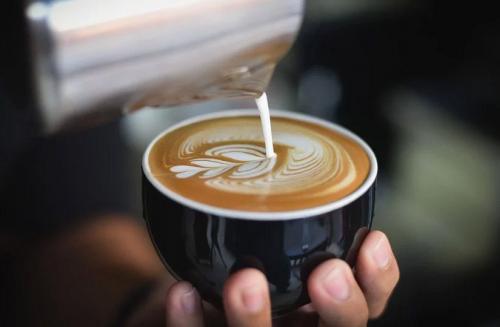 Как изменить вкус кофе, используя разные виды молока. Коровье или растительное? Как разное молоко меняет вкус кофе и влияет на содержание кофеина