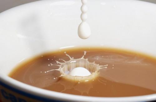 Как изменить вкус кофе, используя разные виды молока. Коровье или растительное? Как разное молоко меняет вкус кофе и влияет на содержание кофеина