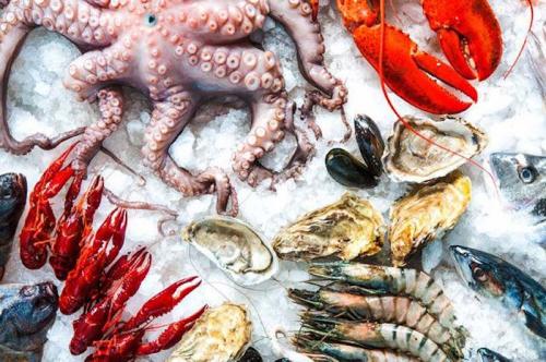 Интересные факты о рыбе и морепродуктах. Интересные факты о морепродуктах