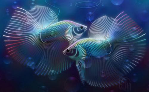 10 фактов о рыбах знак зодиака. 10 необычных фактов о знаке зодиака Рыбы - ФОТО