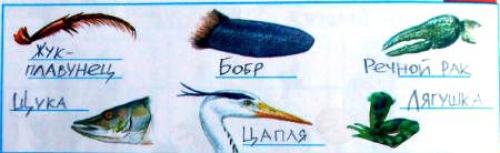 Жизнь в пресных водах гдз. ОТВЕТЫ К ЗАДАНИЯМ