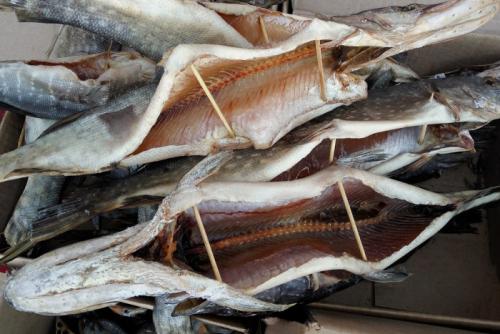 Протоптер приготовление. Как сушить рыбу — простая технология засола и вяления