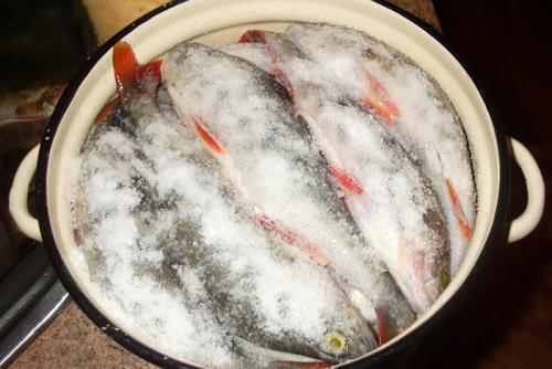 Протоптер приготовление. Как сушить рыбу — простая технология засола и вяления