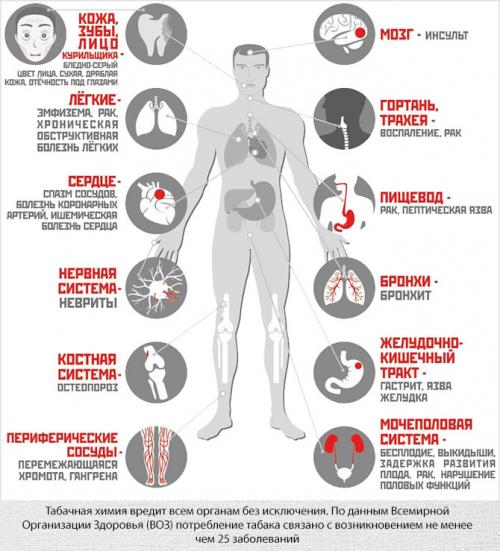 Мотивация бросить курить для женщин. Факторы, которые позволят мотивировать себя