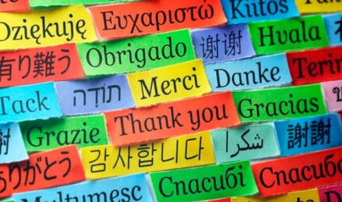 Факты о языке. Языки мира — интересные факты