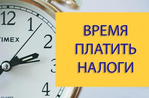 Заплатил налоги и спи спокойно. Заплати налоги и спи спокойно 02 Заплатил налоги и спи спокойно. Заплати налоги и спи спокойно 02