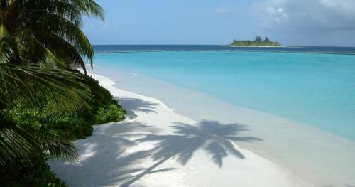 30 интересных фактов о морях и океанах. Интересные факты о морях и океанах 06