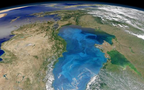 Интересные факты о черном море. Что скрывает Черное море: 15 интересных фактов