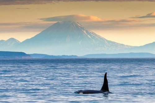 30 интересных фактов о морях и океанах. Интересные факты о морях и океанах 02