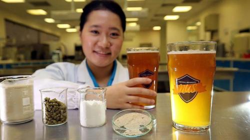 Почему вы решили выпить бутылку пива. 9 причин пить пиво каждый день