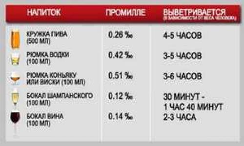 Влияет ли сила напитка на время выветривания. Особенности организма