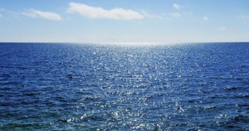 30 фактов об океане. Северный Ледовитый океан 10