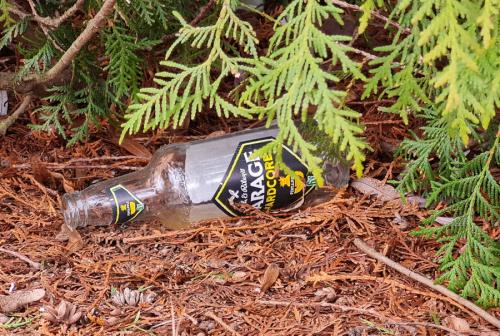 Как результаты этого эксперимента могут быть применены в повседневных ситуациях, связанных с алкоголем. Эксперимент с градусом. Семиклассники проверили воздействие алкоголя на себе