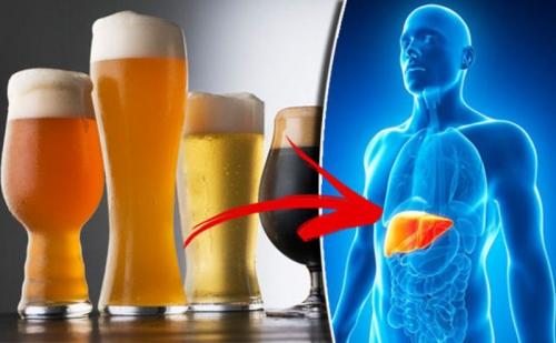 Можно ли ускорить процесс выветривания 2 литров пива с помощью физической активности. Особенности выведения